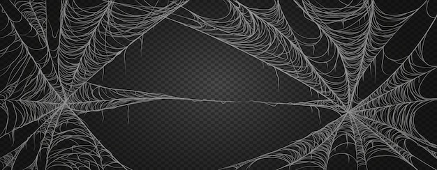 Vector spiderweb for halloween, spooky, scary, horror decor.