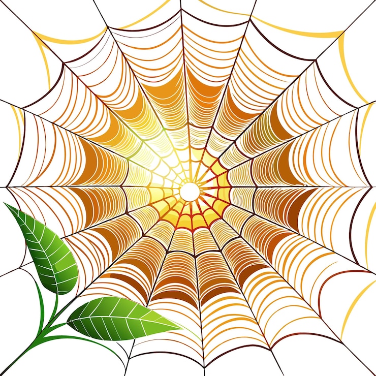 Vector a spiderweb with a glowing sun in the center and leaves at the bottom