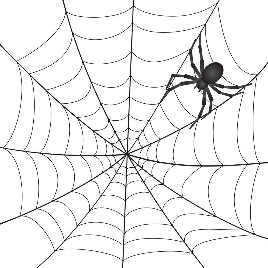 Premium Vector | Spiderweb with spider on white background. illustration