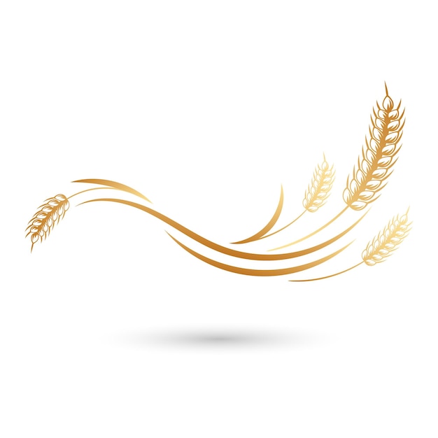 Spikelets of wheat, rye, barley. Golden icon, elegant design, vector