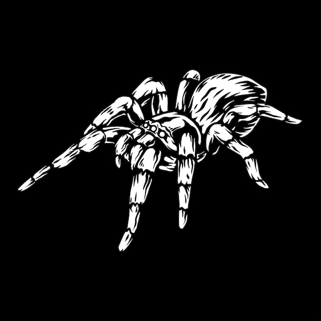 Spin tarantula vector kunst illustratie