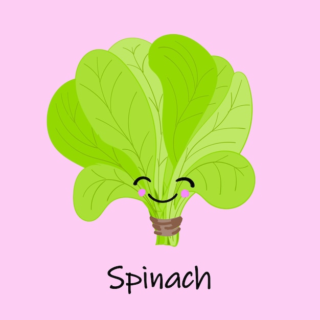 Spinach. children's learning card