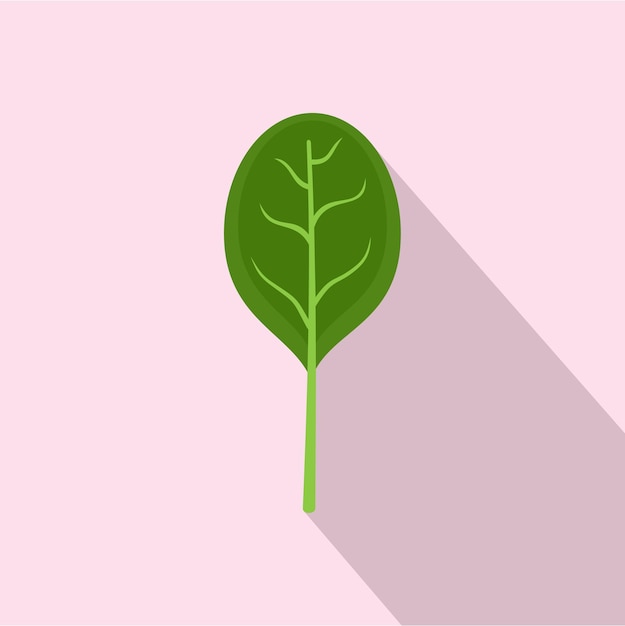 Листья шпината с значком тени Плоская иллюстрация листьев шпината с значком вектора тени для веб-дизайна