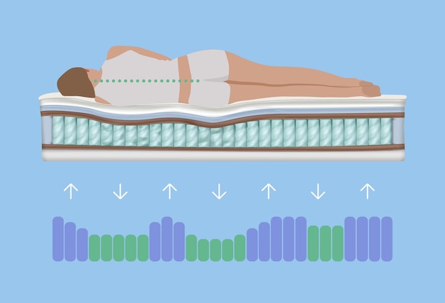 Vettore distribuzione del carico spinale durante il sonno illustrazione realistica