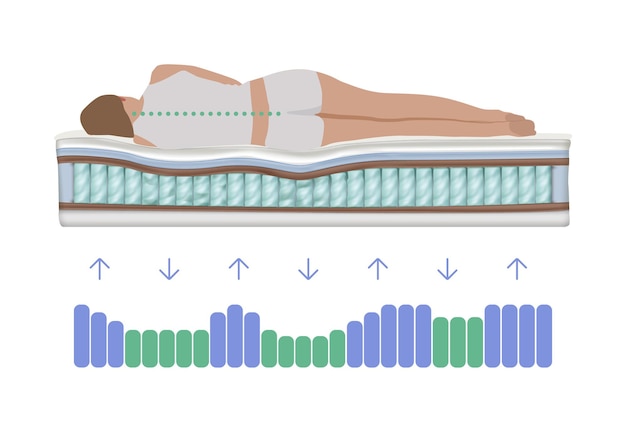 Vettore distribuzione del carico spinale durante il sonno illustrazione realistica