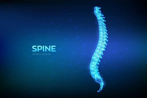 脊椎腰痛脊椎治療理学療法診断の概念要約医薬品薬局および教育デザインのための低多角形ワイヤーフレーム器官ベクトル図