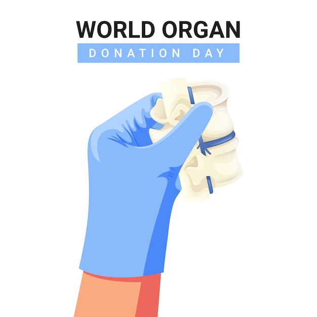 Дизайн векторной иллюстрации позвоночника ко всемирному дню донорства органов