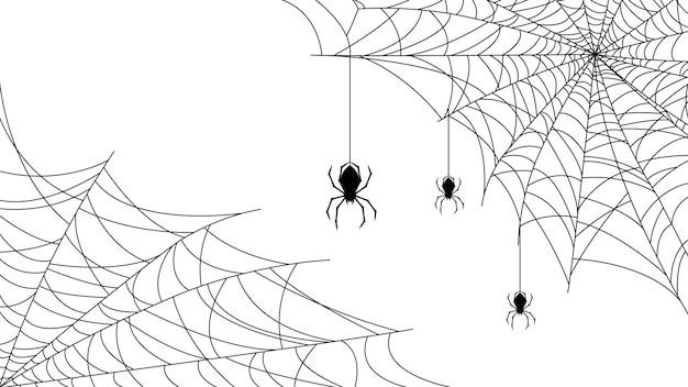 Spinnen op Web met witte achtergrond. Halloween achtergrond ontwerpelement. Griezelige, enge horrordecoratie