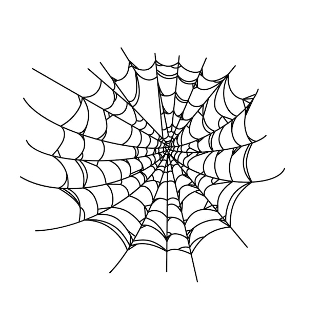 Spinnenweb geïsoleerd op wite achtergrond overzicht spinnenweb voor horror halloween-feestontwerpen
