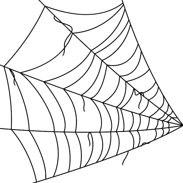 Spinnenweb geïsoleerd op witte achtergrond