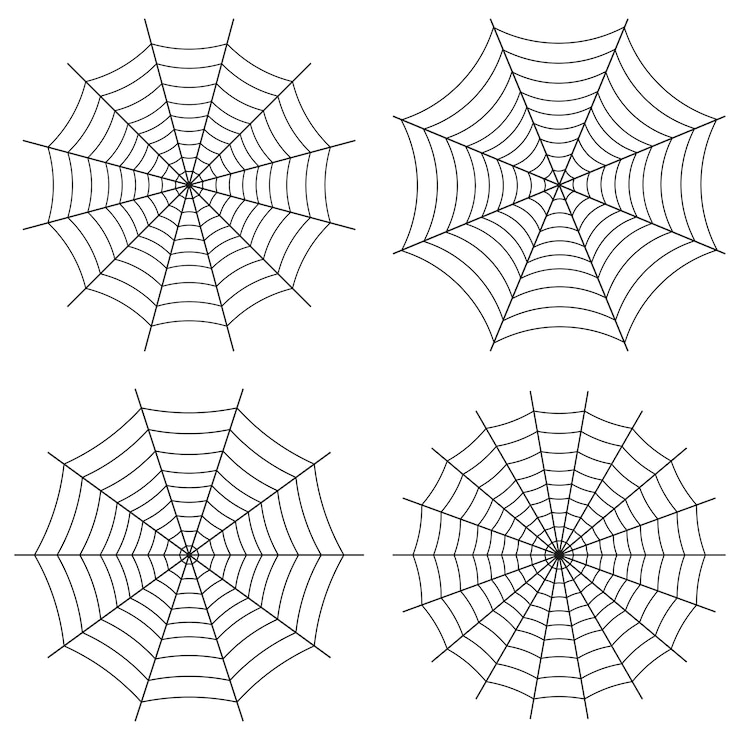 Vector spinnenweb gotische stijl.