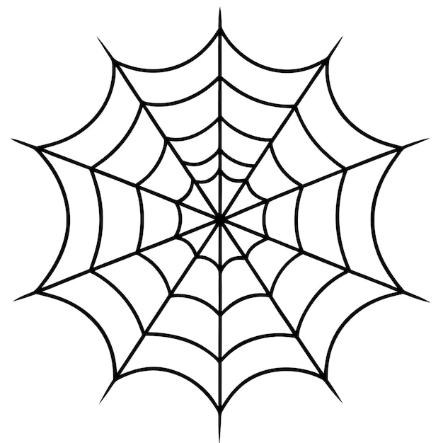 spinnenweb met een spinnenweb bovenop