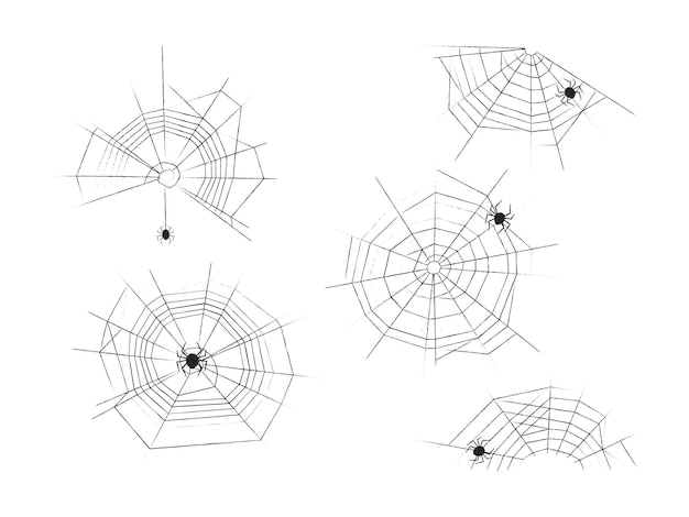 Spinnenweb set Halloween ontwerpelementen Abstracte gestructureerde lijn spinnenwebben met spinnen clip art Potloodschets stijl Vector illustratie geïsoleerd op witte achtergrond