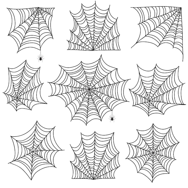 Spinnenweb. spookachtig spinneweb en webhoeken met spin. halloween-pictogrammen op wit