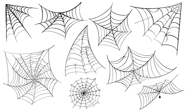 Spinnenweb voor Halloween-ontwerp. Spinnenwebelementen, griezelig, eng, horror halloween decor.