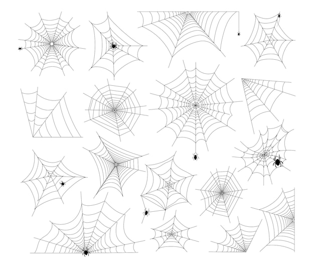 Spinnewebval en spin Halloween griezelige kunstelementset. Web verschillende vorm en vorm met hangende, kruipende enge spinachtige insecten voor decoratie vectorillustratie geïsoleerd op een witte achtergrond