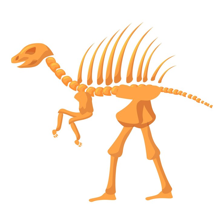 Vector spinosaurus skeleton walking on two legs