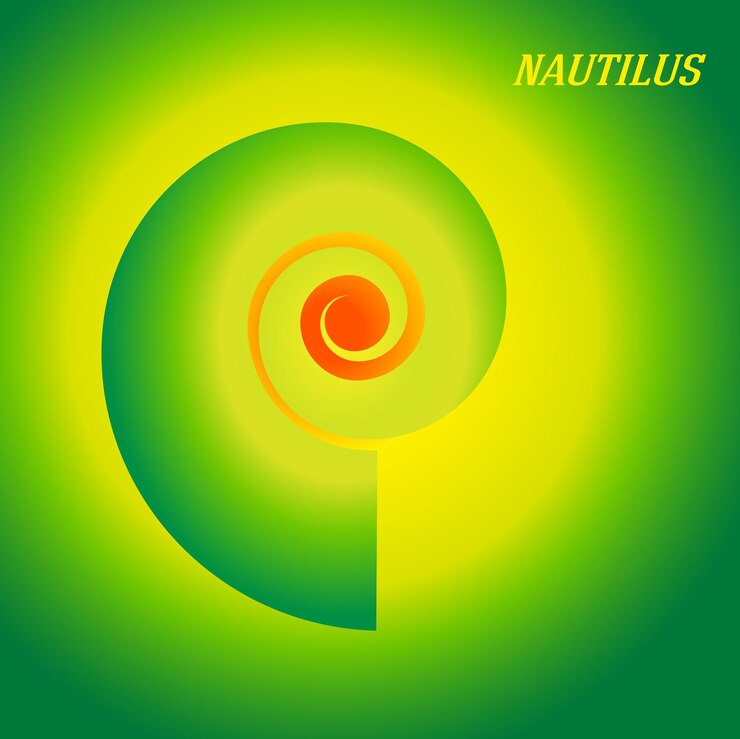 वेक्टर spiral nautilus colors swirl background design elements03