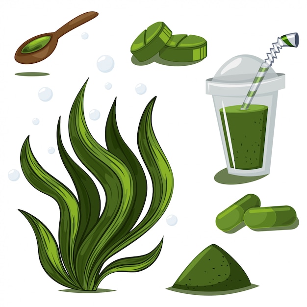 Spirulina-plant, poeder, pillen, capsules en smoothies