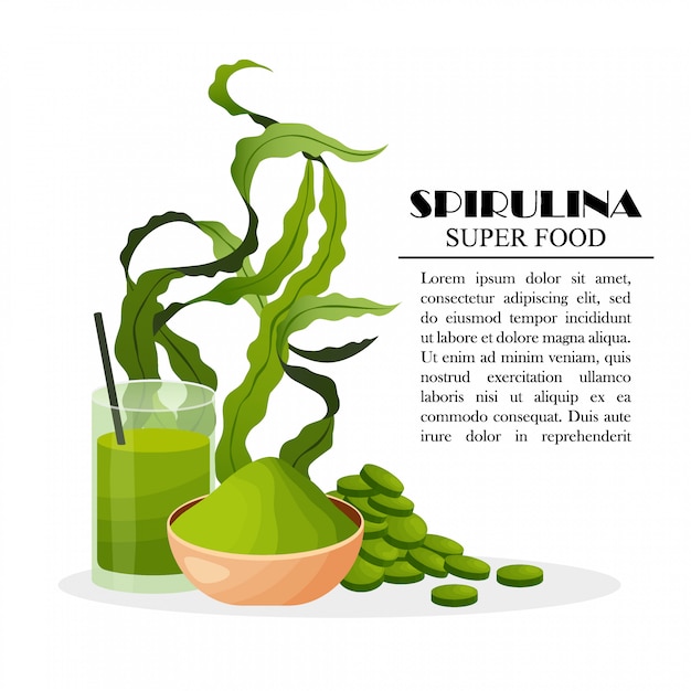 Manifesto di spirulina con le alghe del frullato delle compresse della polvere delle alghe isolate su fondo bianco, illustrazione. cibo salutare.