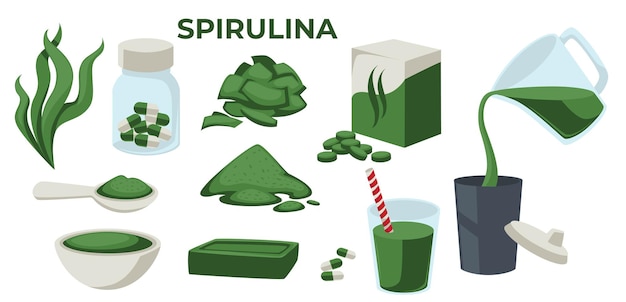 Vettore spirulina superfood o vettore di integratori alimentari