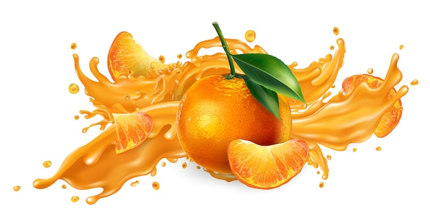 Vector splash of fruit juice and fresh mandarins.