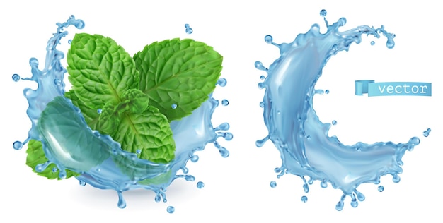 Vector splash water and mint. 3d realistic vector