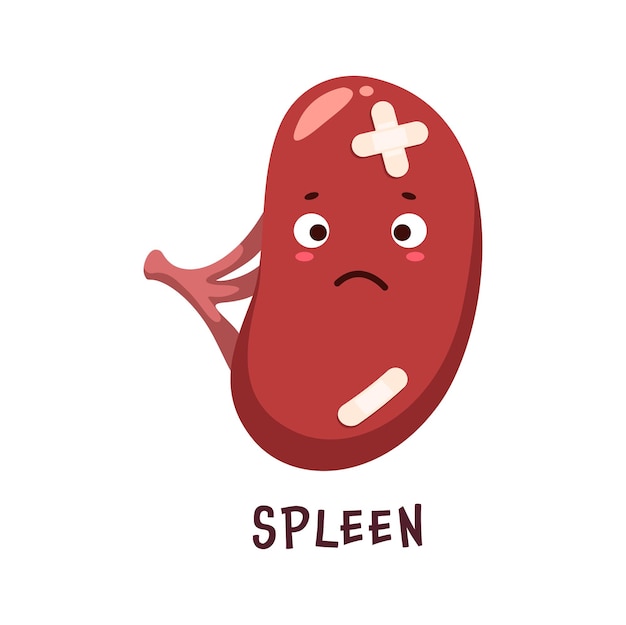 Spleen sick body organ character unhealthy sad