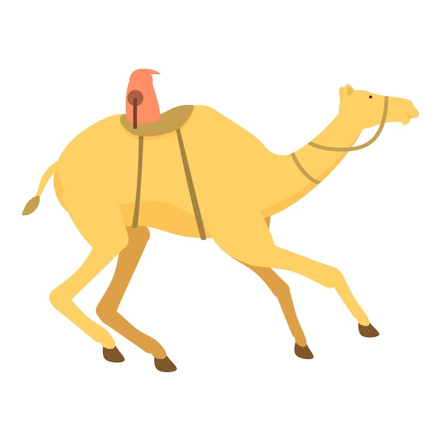 Sport camel running icon cartoon vector Traditional fast riding