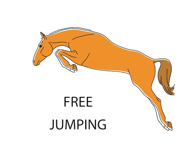 Sport horse jumping of style