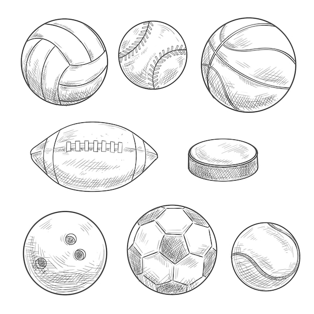 스포츠 공 및 퍽 격리 스케치