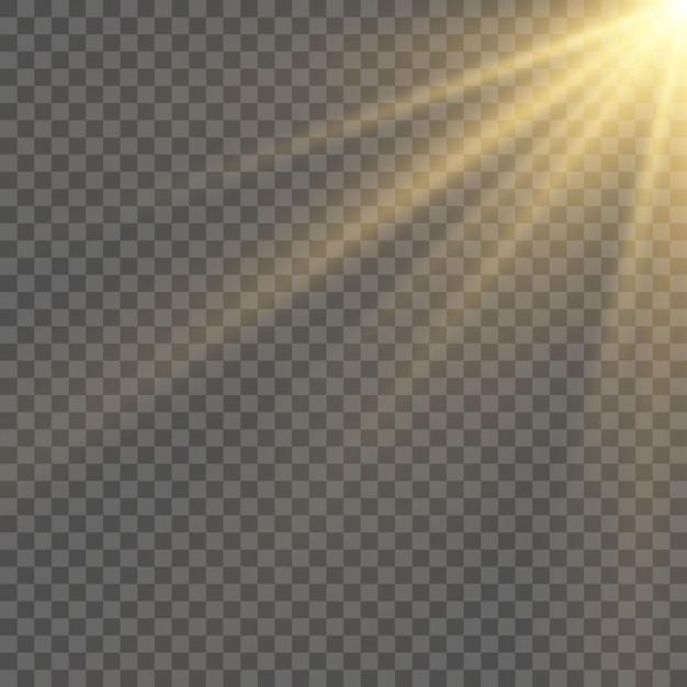 Spotlight isolated on transparent background