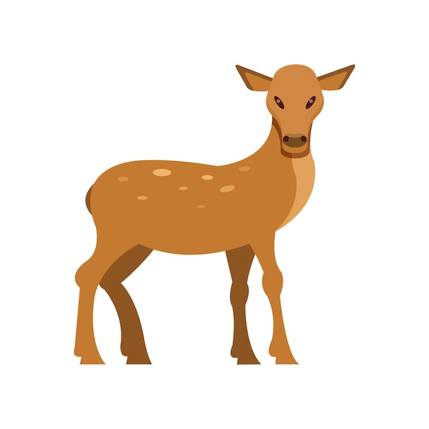 Spotted fallow roe deer wild animal cartoon vector Illustration on a white background