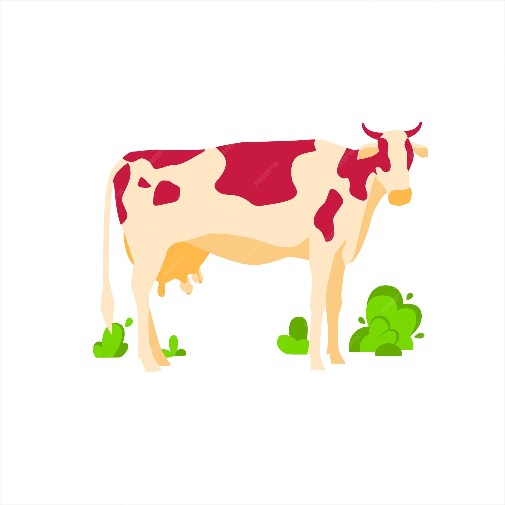 Premium Vector | Spotted grazing cow dairy cattle domestic herbivorous animal farm livestock agriculture and farming concept flat vector illustration isolated on white background Premium Vector | Spotted grazing cow dairy cattle domestic herbivorous animal farm livestock agriculture and farming concept flat vector illustration isolated on white background