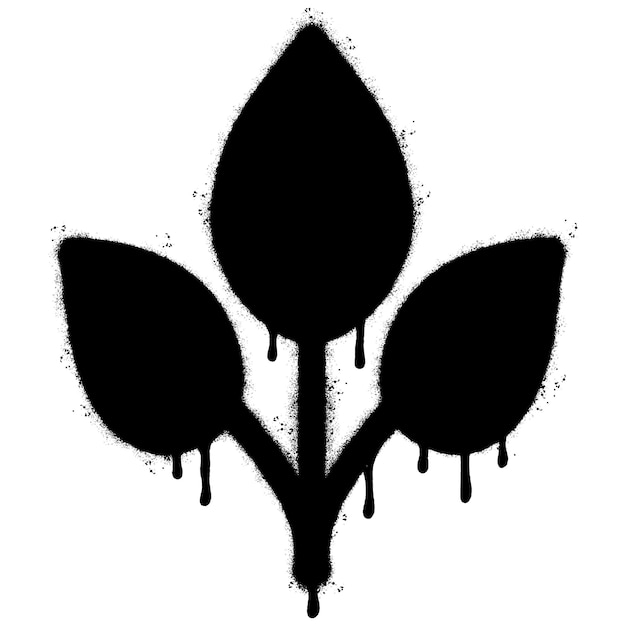 Spray Painted Graffiti Leaf Sprayed isolated with a white background graffiti Leaf with over spray in black over white Vector illustration