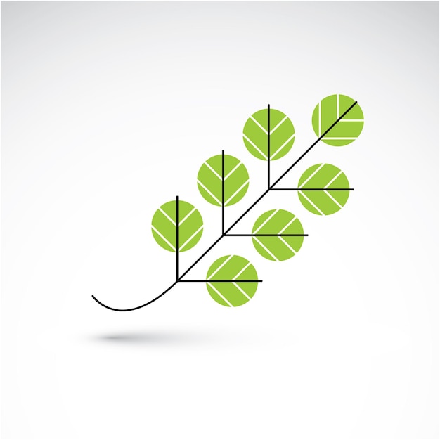 春の灰の葉、植物学、エコフラット画像。デザインで使用するのに最適なハーブ、自然とエコロジー要素のベクトルイラスト。