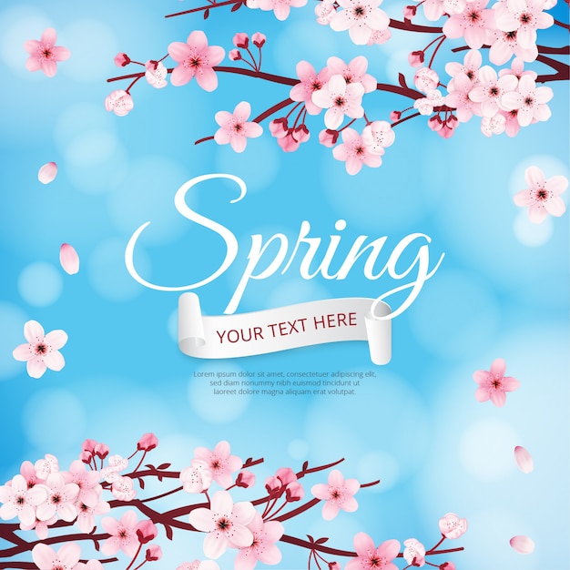 Vector spring background cherry blossoms