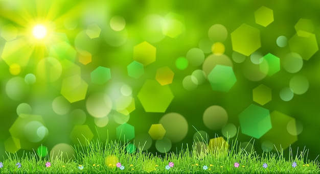 Spring background in green colors with sky, sun, grass and flowers