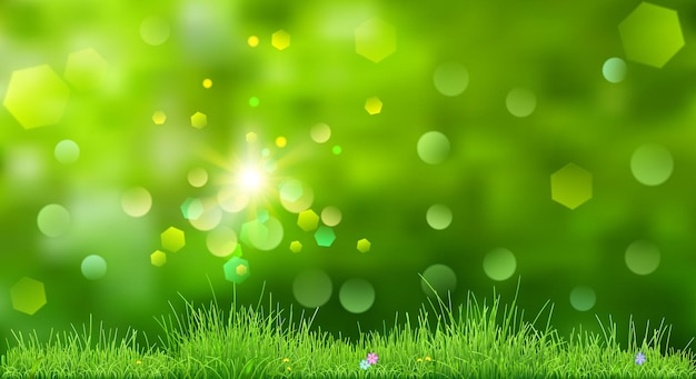 Spring background in green colors with sky, sun, grass and flowers