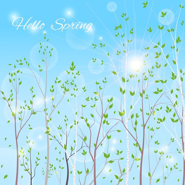 Vector spring background park