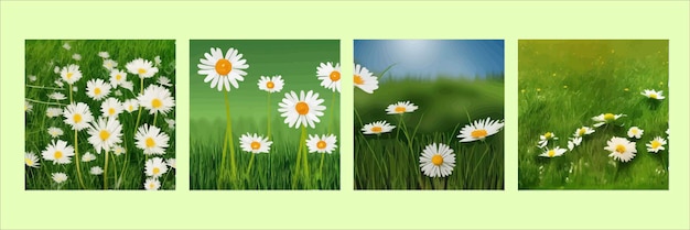 Vector spring background with chamomile flowers green grass blue sky can be used for easter seasonal sales