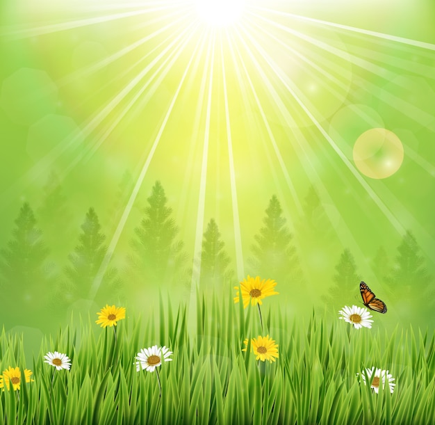 Spring background with flowers in meadow and pine trees