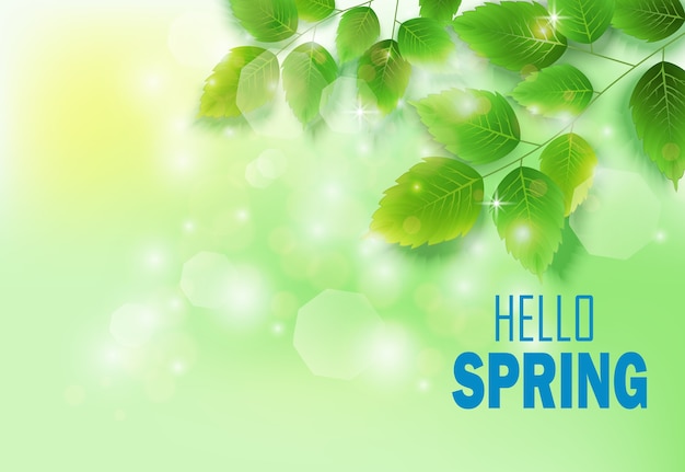 Vector spring background with fresh green leaves on green meadow