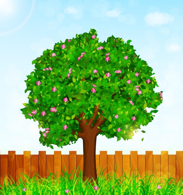 Vector spring background with green grass blossoming tree and garden fence