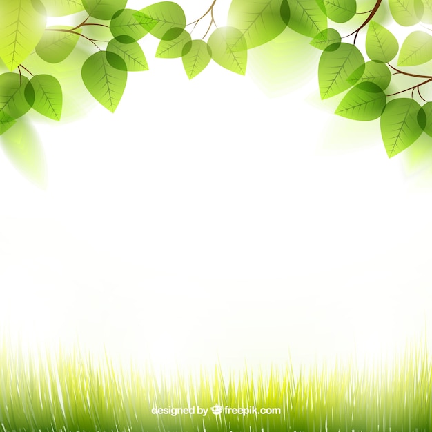 Spring background with leaves