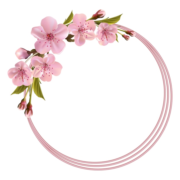 Vector spring background with pink cherry flowers