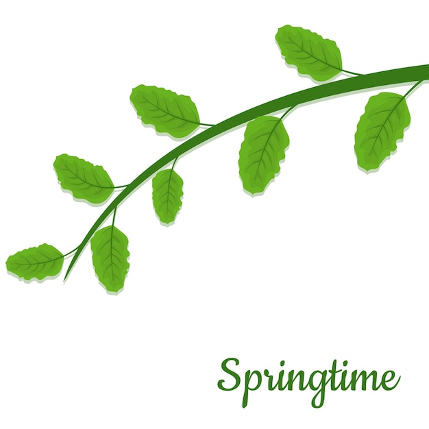 Spring background with tree twig vector illustration