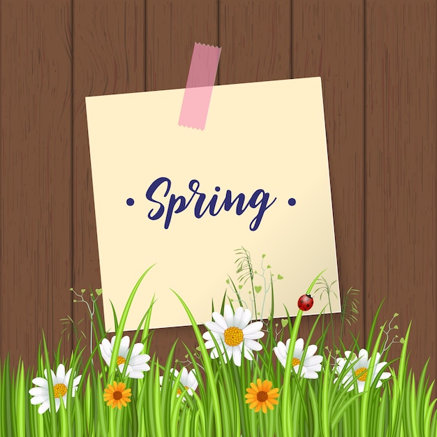 Banner di primavera con fioritura di camomilla