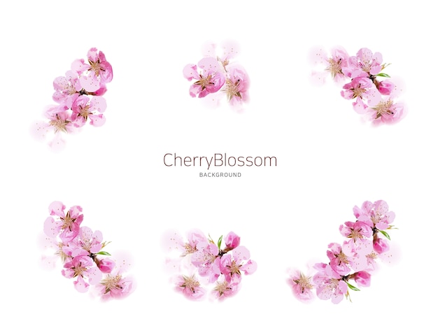 Spring blooming cherry background