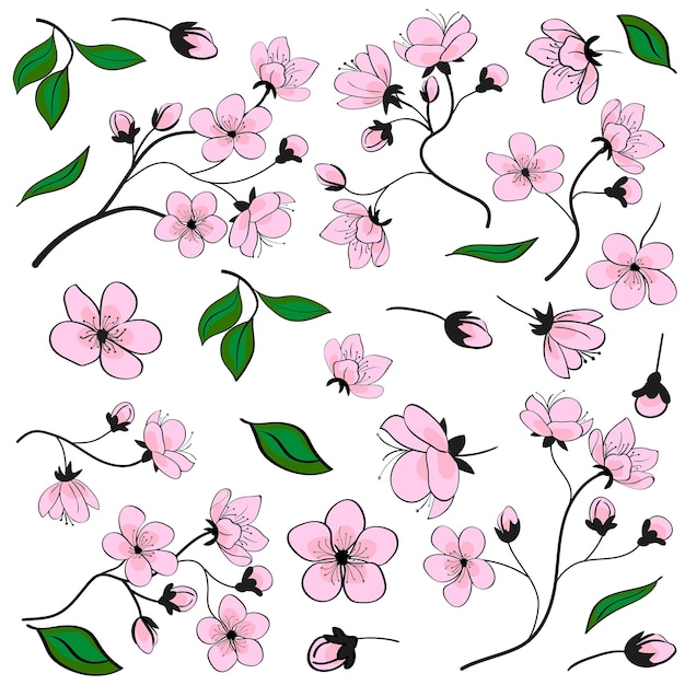 Spring blossoming sakura cherry Flowers petals Vector set for your design